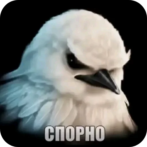 🐦 Стикер «ÐÐ±Ð°ÑÐ´Ð½Ð° ð°» для Telegram