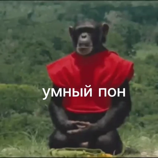 💫 Стикер «abizyani» для Telegram