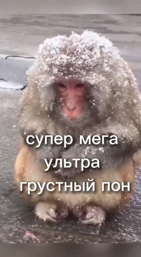 💫 Стикер «abizyani» для Telegram