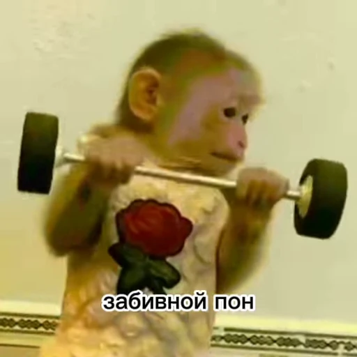 💫 Стикер «abizyani» для Telegram