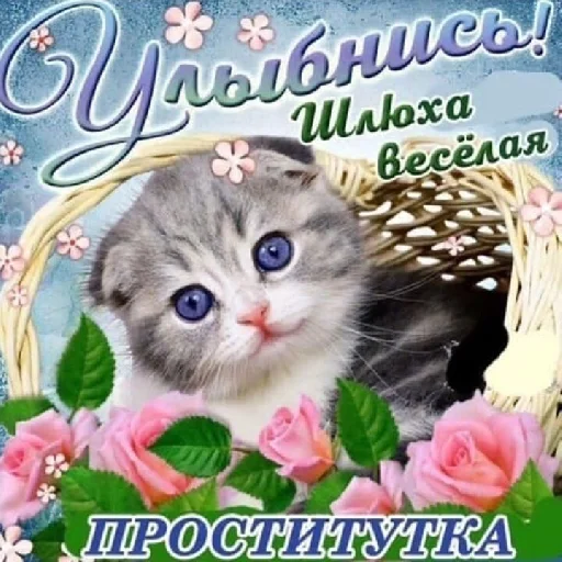 👽 Стикер «че та типа мемав ваших» для Telegram