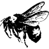 🤩 Эмодзи «<- больше фоновых паков» для Telegram