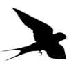 ⚫️ Эмодзи «#adaptive» для Telegram