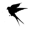 ⚫️ Эмодзи «#adaptive» для Telegram