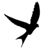Эмодзи #adaptive для Telegram — скачать