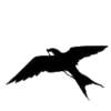 ⚫️ Эмодзи «#adaptive» для Telegram