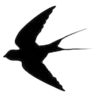 ⚫️ Эмодзи «#adaptive» для Telegram