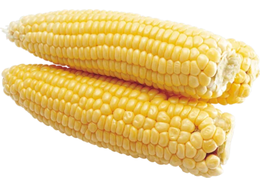 🌽 Стикер «охуенный хавчик» для Telegram