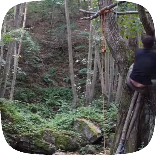 🏕 Стикер «Adventure» для Telegram