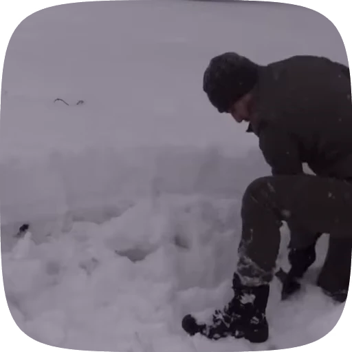 🏕️ Стикер «Adventure» для Telegram