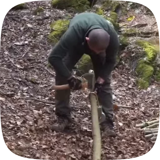 🏕️ Стикер «Adventure» для Telegram