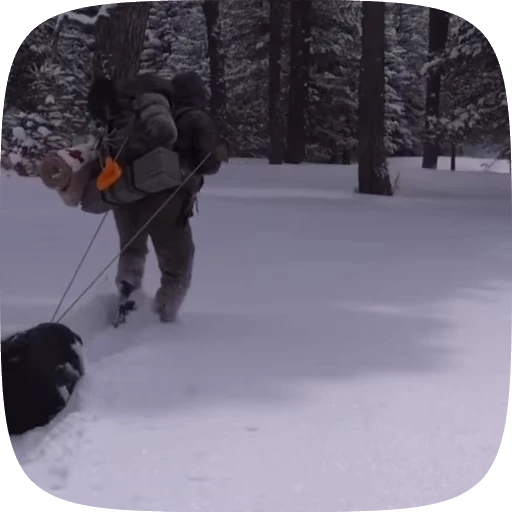 🏕️ Стикер «Adventure» для Telegram