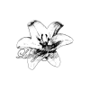🤩 Эмодзи «adaptive» для Telegram