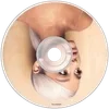 🌟 Эмодзи «4Bemoji» для Telegram