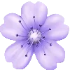🌸 Эмодзи «prplncks» для Telegram