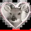 🤩 Эмодзи «aesthetic» для Telegram