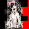 🤩 Эмодзи «aesthetic» для Telegram