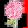 🤩 Эмодзи «aesthetic» для Telegram