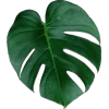 🤩 Эмодзи «Plants» для Telegram