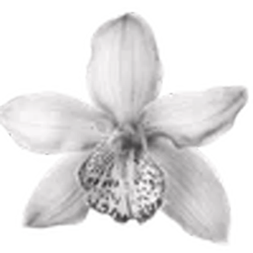 🌟 Эмодзи «Plants» для Telegram
