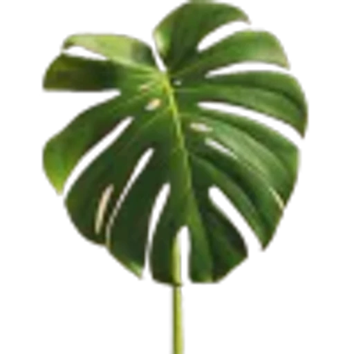 🤩 Эмодзи «Plants» для Telegram