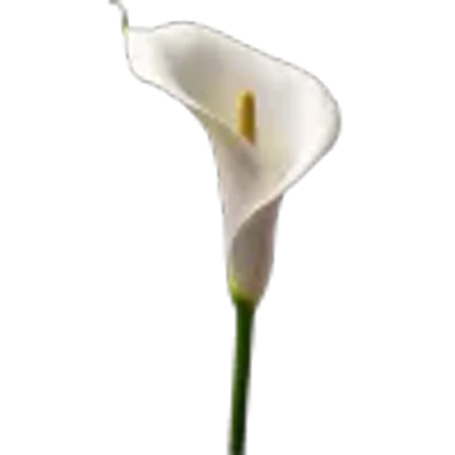 🤩 Эмодзи «Plants» для Telegram