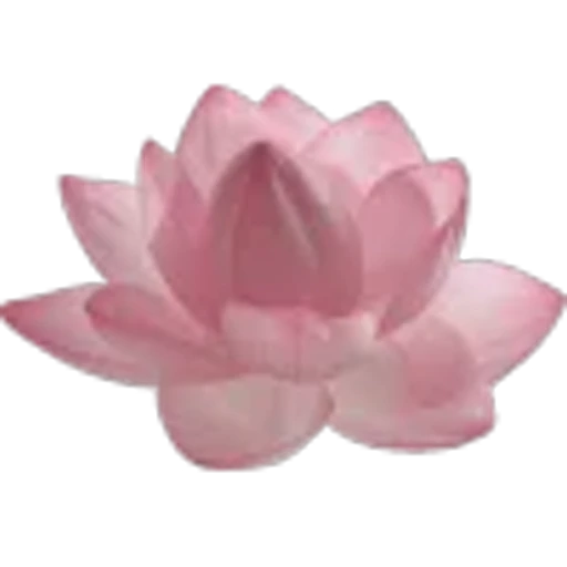 🤩 Эмодзи «Plants» для Telegram