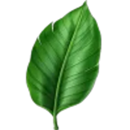 🤩 Эмодзи «Plants» для Telegram
