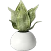 🤩 Эмодзи «Plants» для Telegram