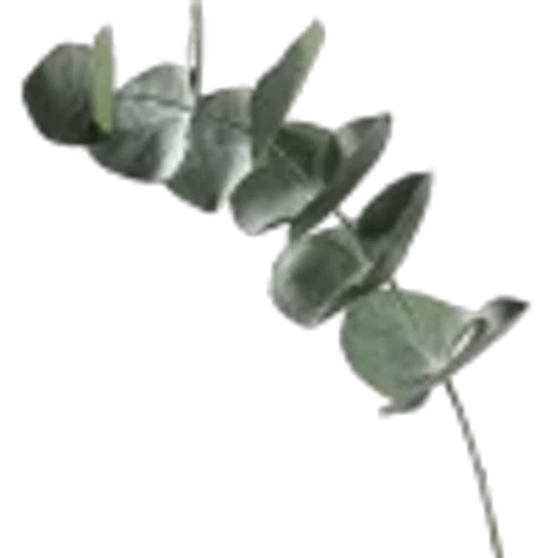 🤩 Эмодзи «Plants» для Telegram