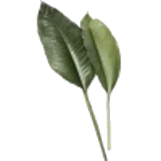 🤩 Эмодзи «Plants» для Telegram