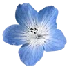 💙 Эмодзи «холодная эстетика» для Telegram