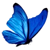 💙 Эмодзи «холодная эстетика» для Telegram