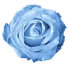 💙 Эмодзи «холодная эстетика» для Telegram
