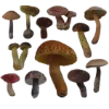 🍄 Эмодзи «Goblincore» для Telegram