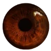 👁 Эмодзи «Goblincore» для Telegram