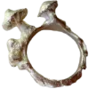 💍 Эмодзи «Goblincore» для Telegram