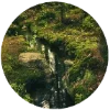 🏞 Эмодзи «Goblincore» для Telegram