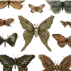 🦋 Эмодзи «Goblincore» для Telegram