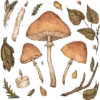 🍄 Эмодзи «Goblincore» для Telegram