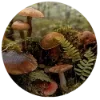 🍄 Эмодзи «Goblincore» для Telegram