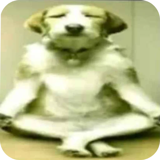 🐶 Стикер «лелеле» для Telegram