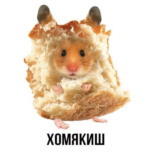 🤪 Стикер «АХТУНГ!!» для Telegram