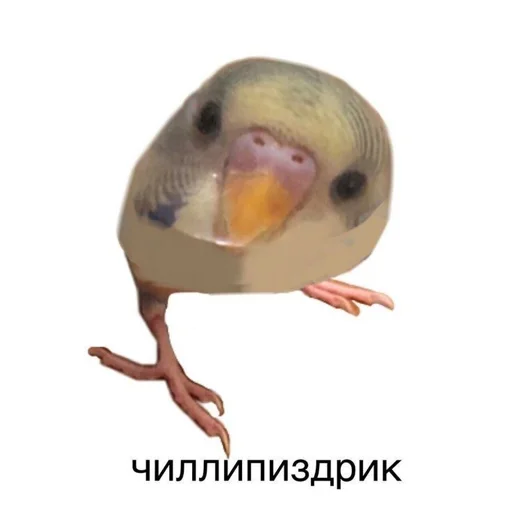 😈 Стикер «АХТУНГ!!» для Telegram