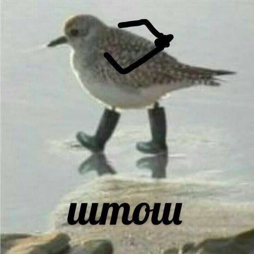 🥺 Стикер «АХТУНГ!!» для Telegram