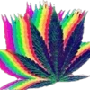 🕚 Эмодзи «🫥 aiem emoji - стильные tumblr эмоджи» для Telegram