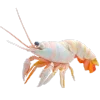🦐 Эмодзи «Воздушный Пластилин» для Telegram