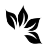 🤩 Эмодзи «Decor line» для Telegram