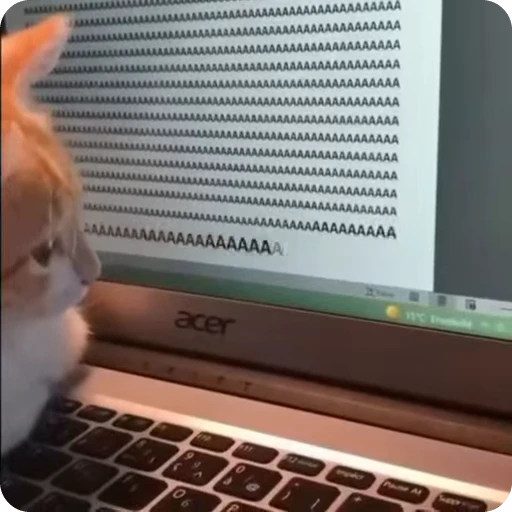😱 Стикер «Funny Cats» для Telegram