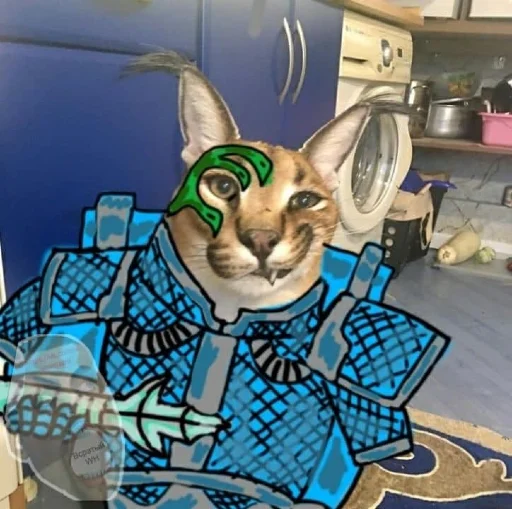 🐱 Стикер «Двадцатый легион» для Telegram